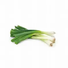 Spring onion hanh la kpl