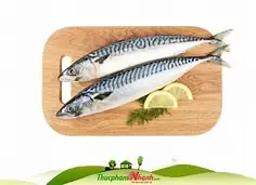 Japanese Saba Fish Ca Thu1kg